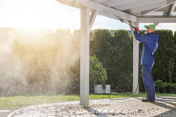 Best Sidewalk and Walkway Cleaning  in Rhome, TX